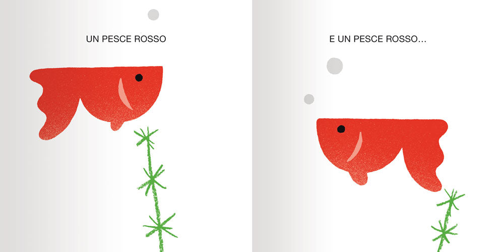 Insieme