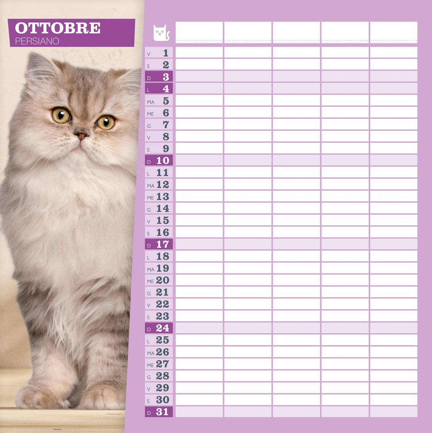 Calendario Gatti  2027  da parete (30 x 30 cm)