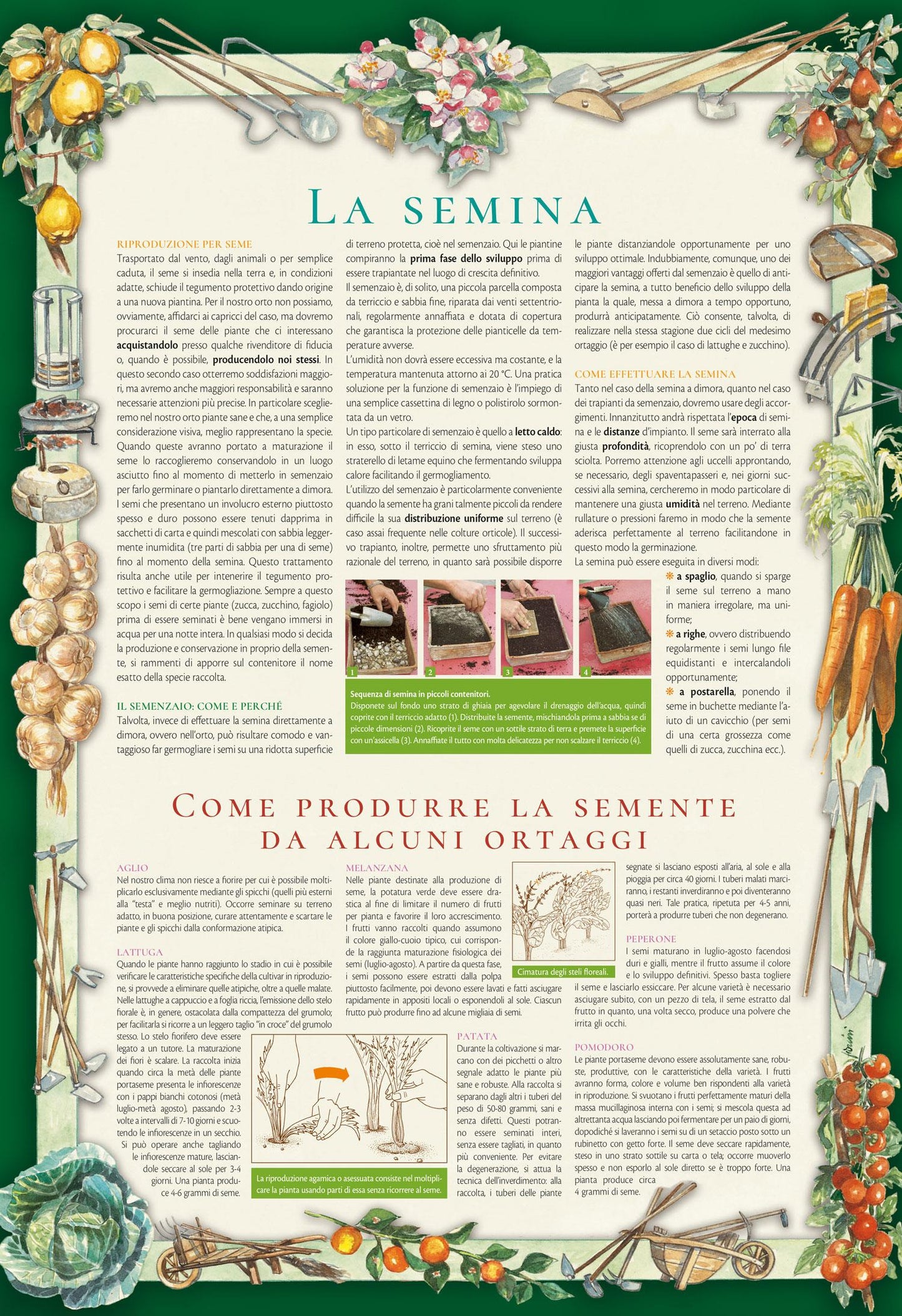 Calendario Lunare 2027 da parete (26,5 x 38,5 cm)