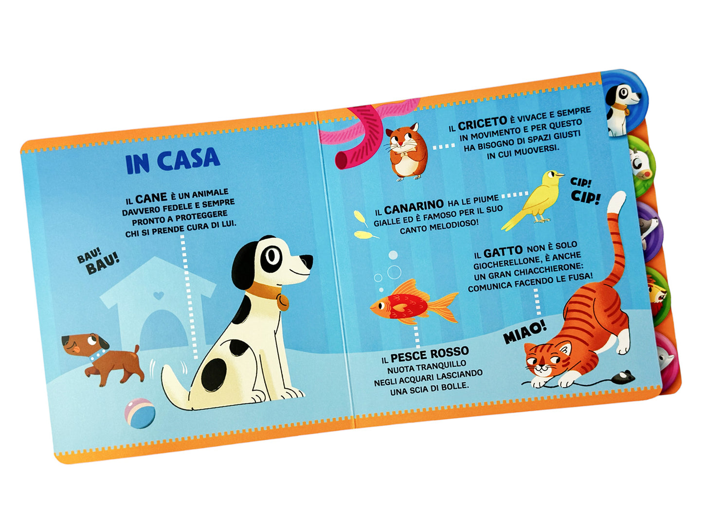 Gli animali