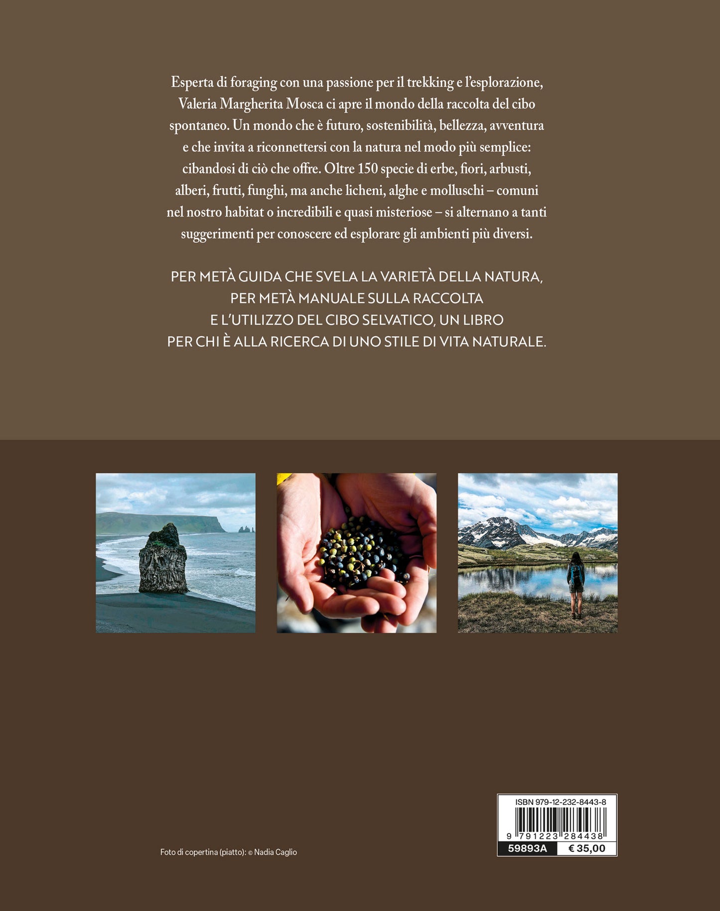 Imparare l'arte del Foraging