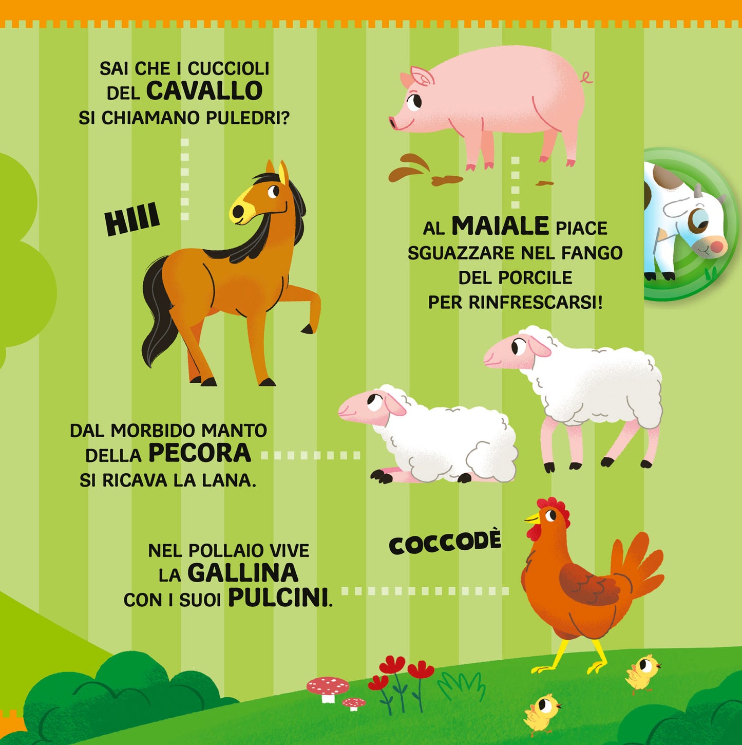 Gli animali
