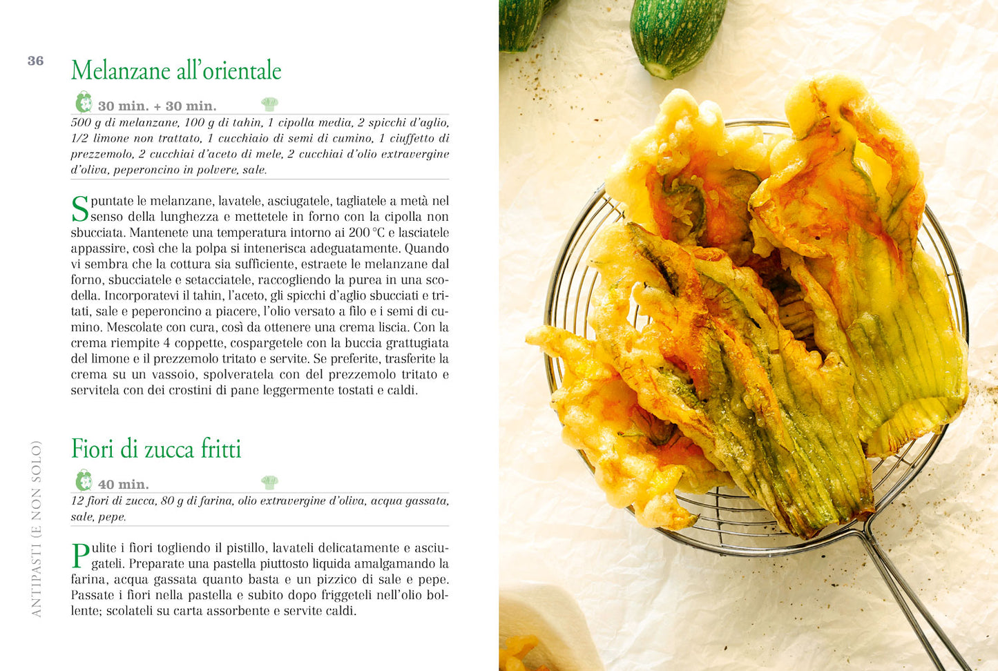 Cucina Green. Ricette vegetali dell'orto