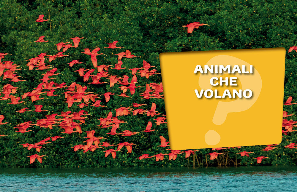 Animali