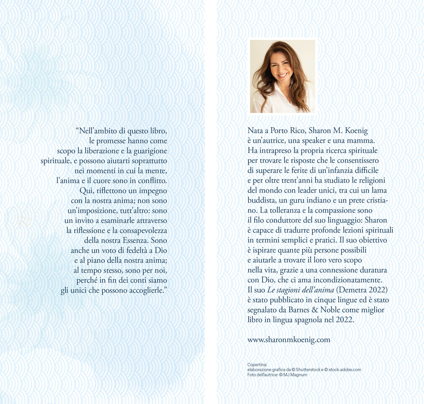 Le 12 promesse dell'anima. Una guida per la guarigione spirituale