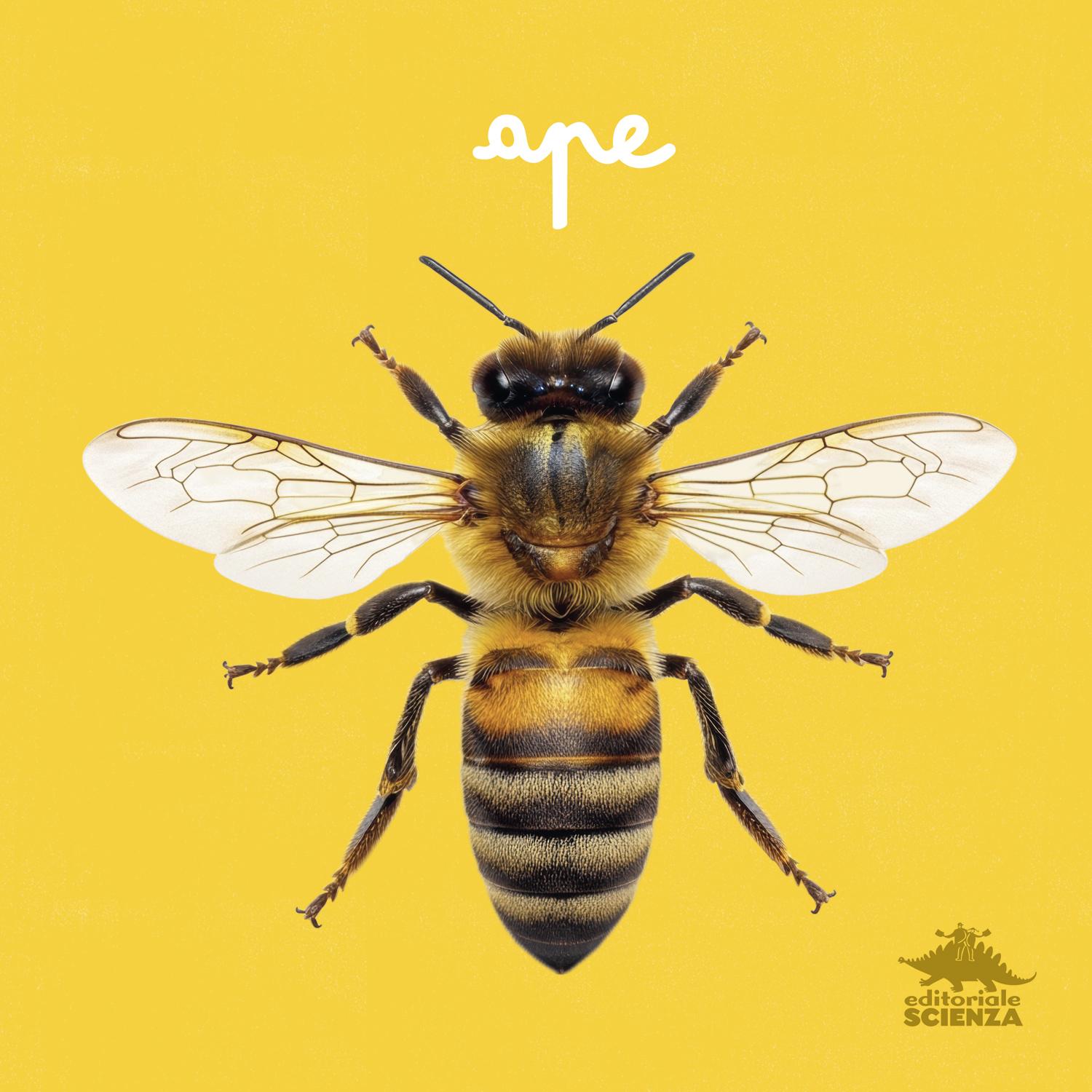 Ape. primi libri fotografici per osservare la natura da vicino!
