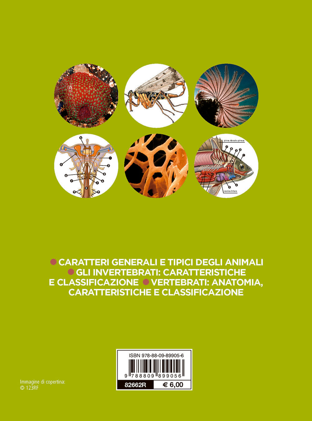 Zoologia