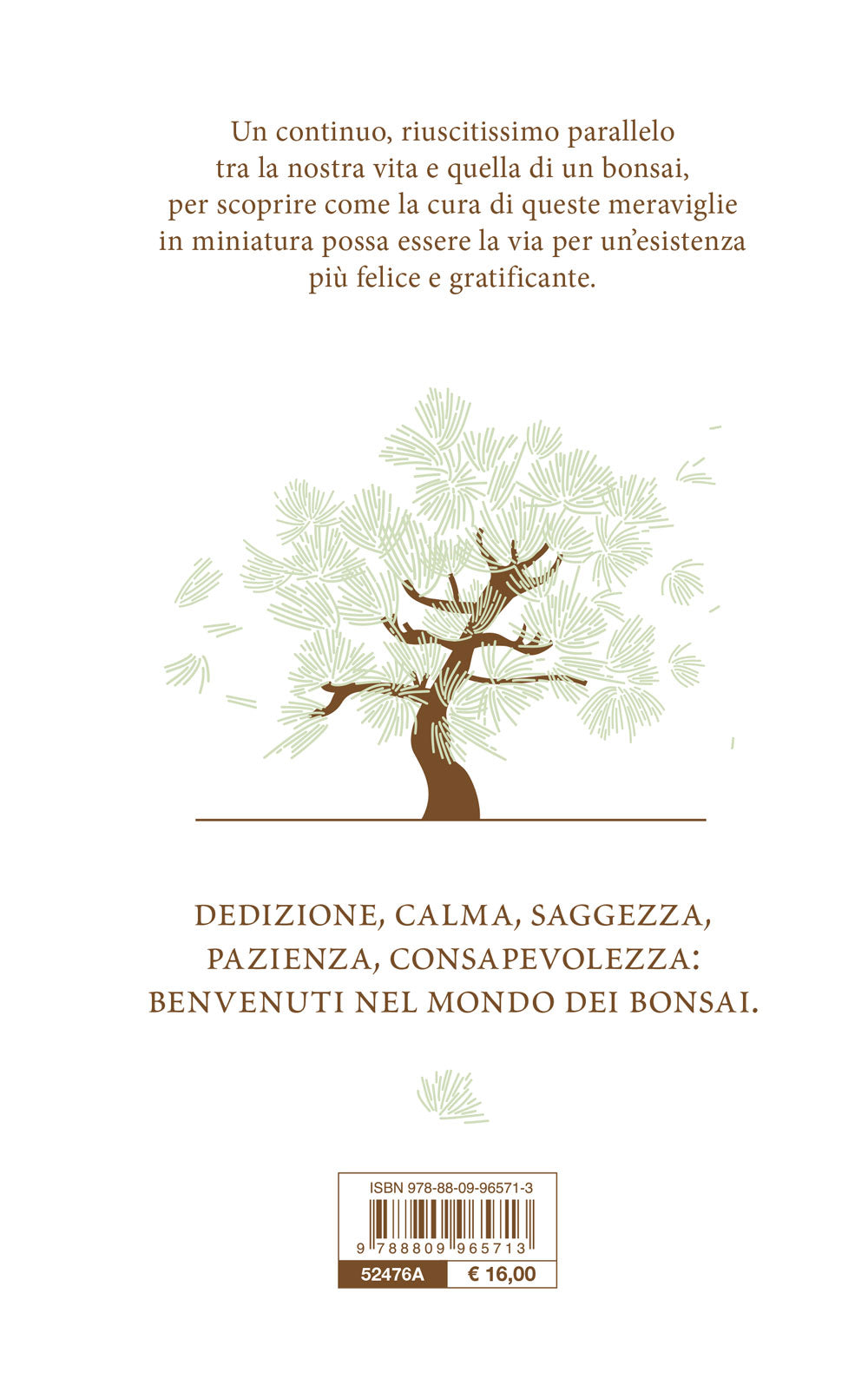 Essere bonsai. L'arte di coltivare la pazienza e la meraviglia