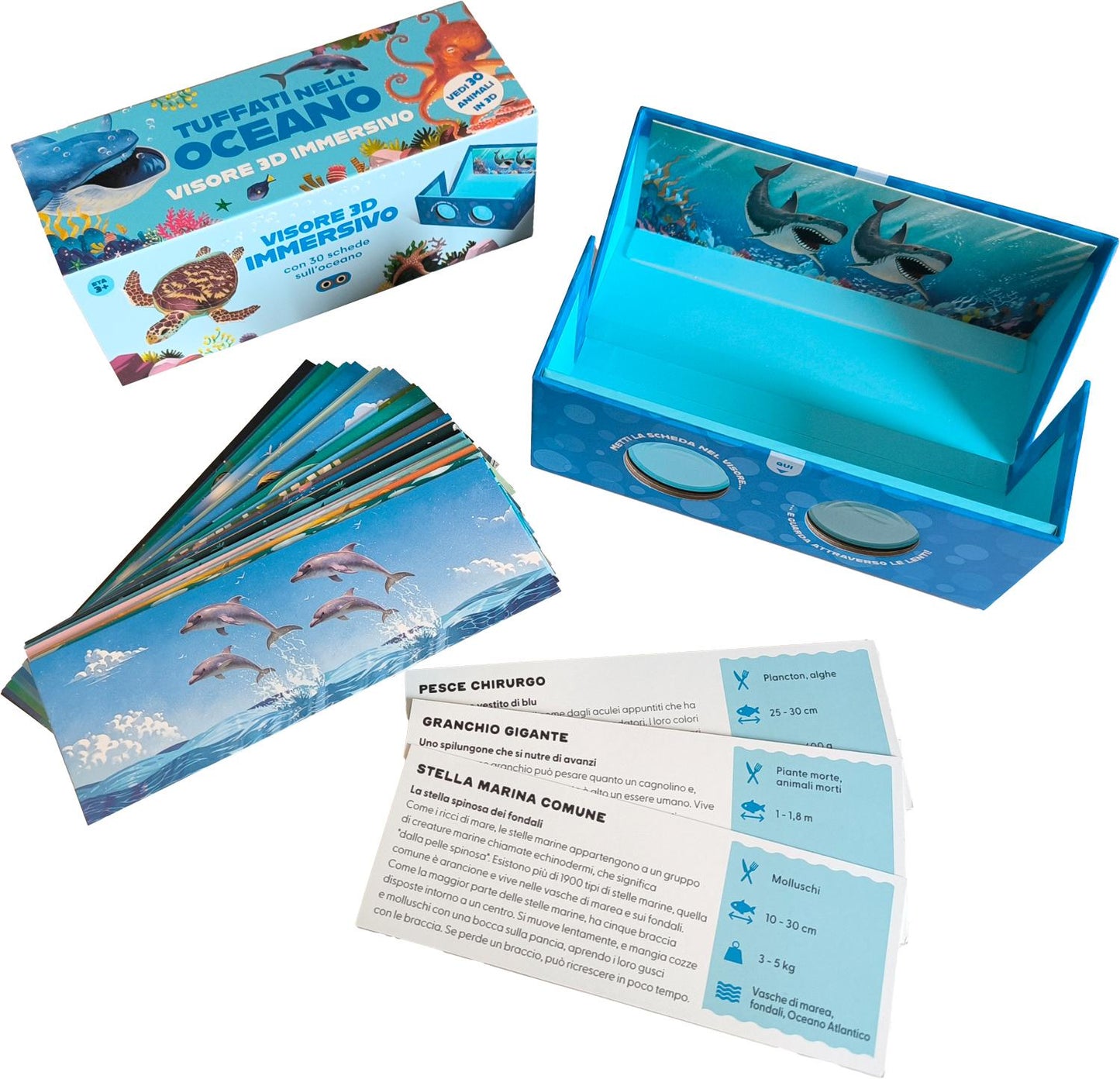 Tuffati nell'oceano. Scopri i libri scatola che diventano visori 3D super immersivi!