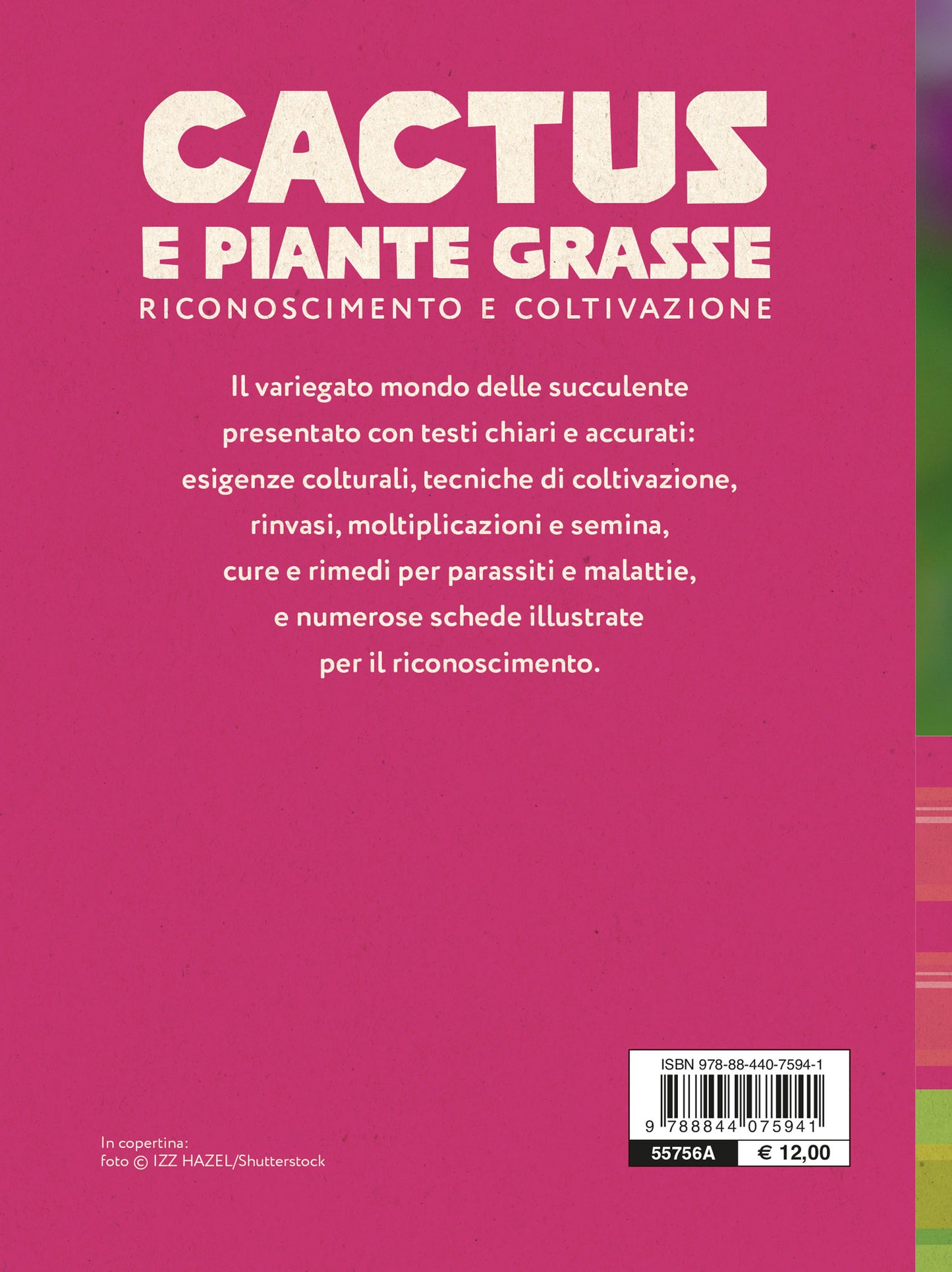Cactus e Piante Grasse