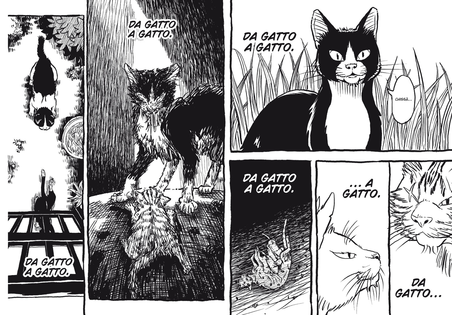 RANDAGI - VITA DA GATTI VOL. 3