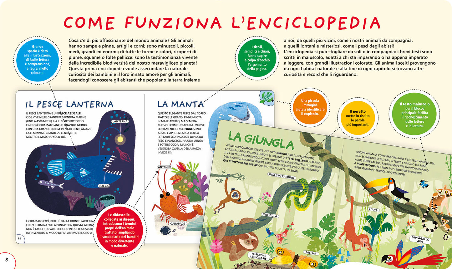 La mia prima enciclopedia degli animali