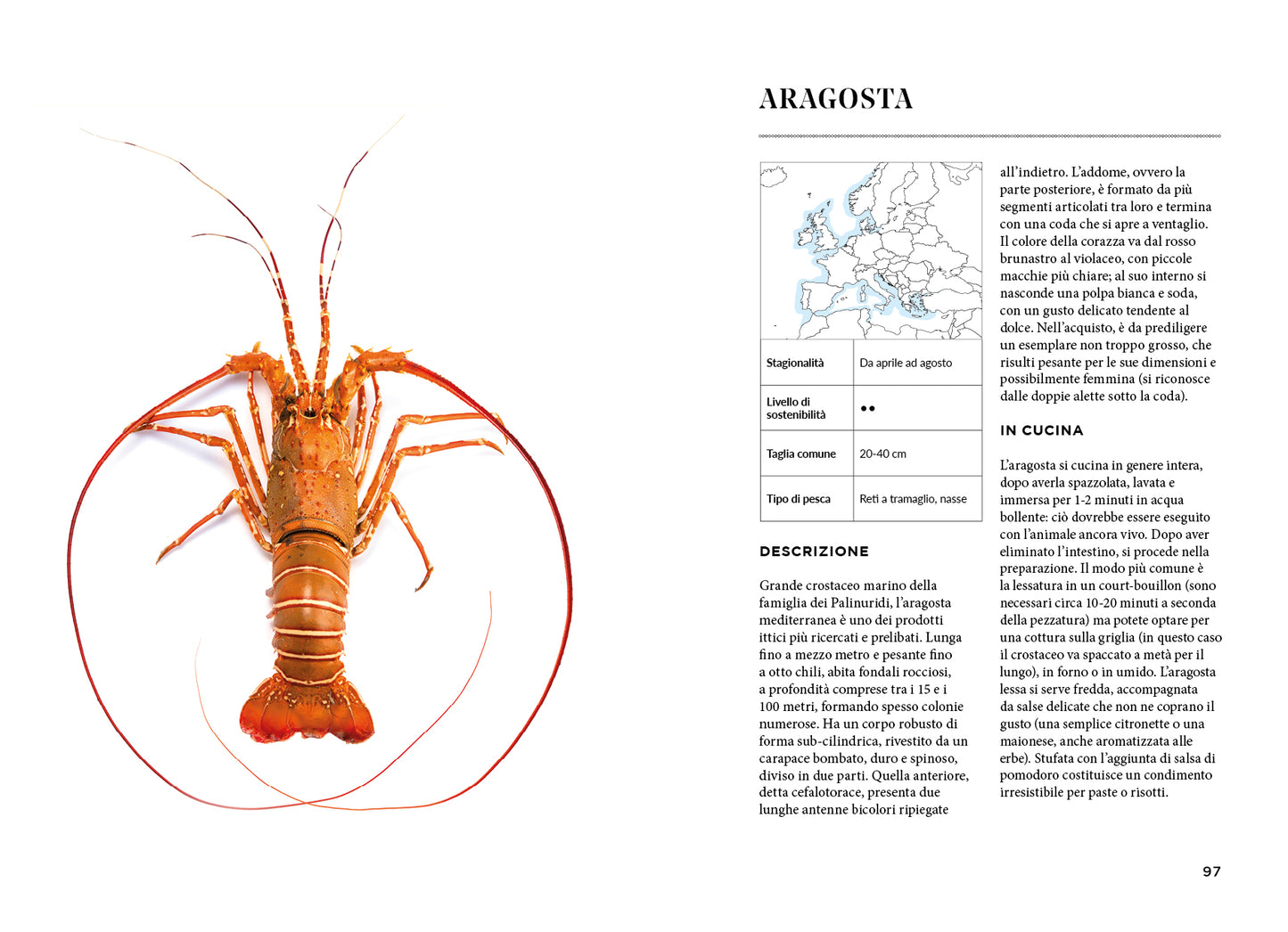 EASY FISH. TECNICHE E RICETTE PER CUCINARE PESCI, MOLLUSCHI E CROSTACEI