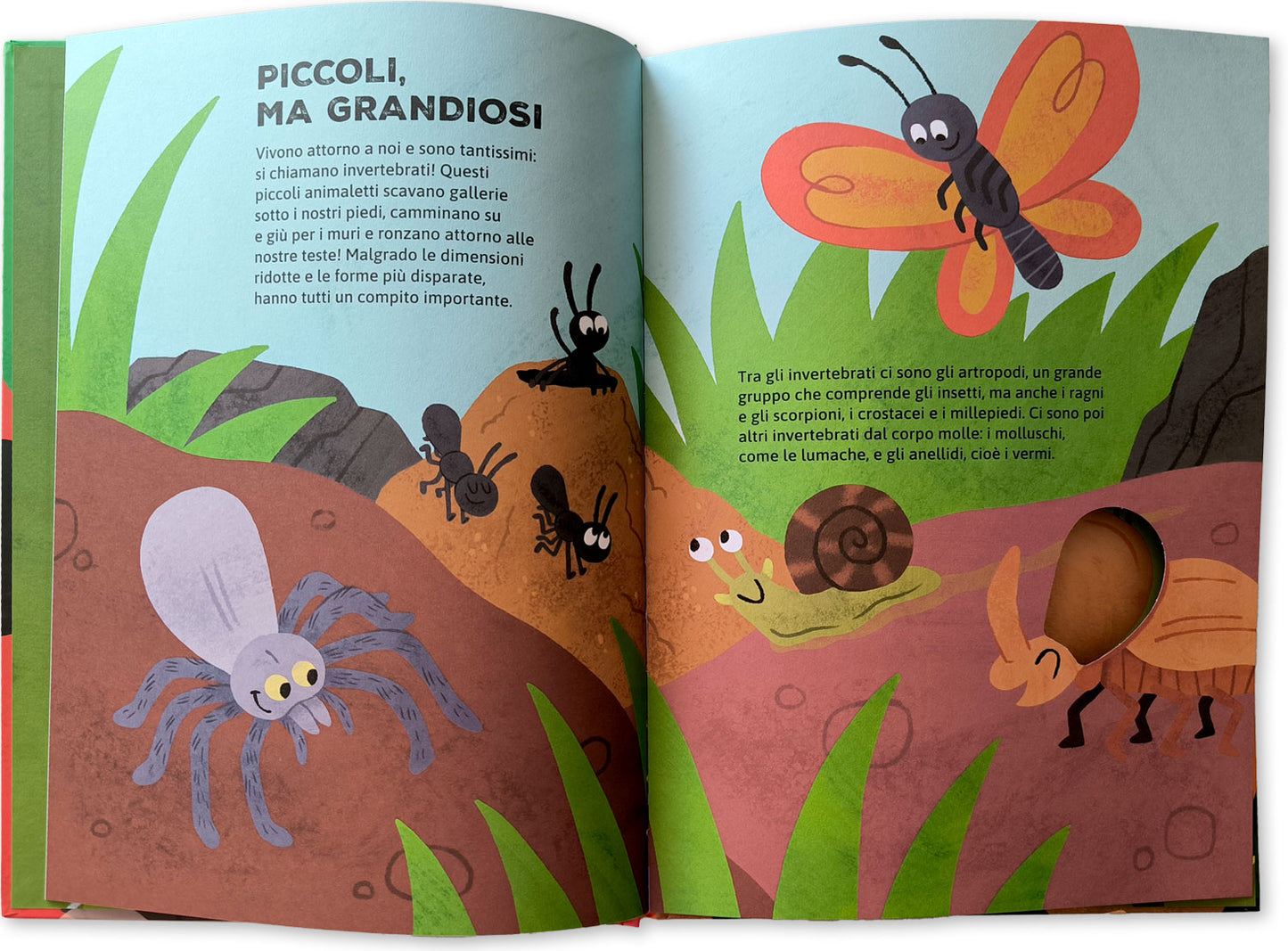 Chi vive nel prato?. Per sbirciare attraverso i fori e sorprendersi a ogni pagina!
