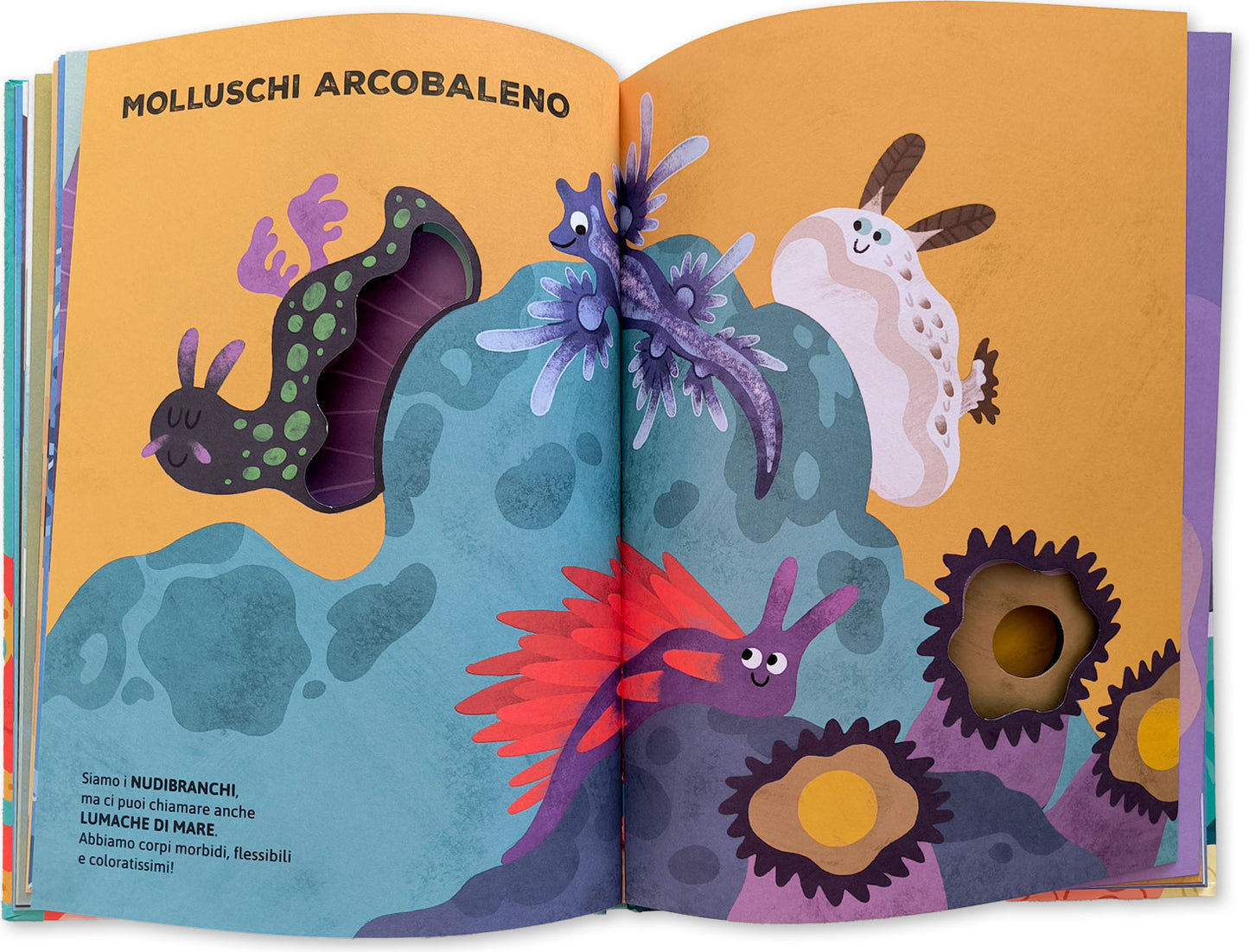 Chi vive nell'acqua?. Libri cucù per sbirciare attraverso i fori e sorprendersi a ogni pagina