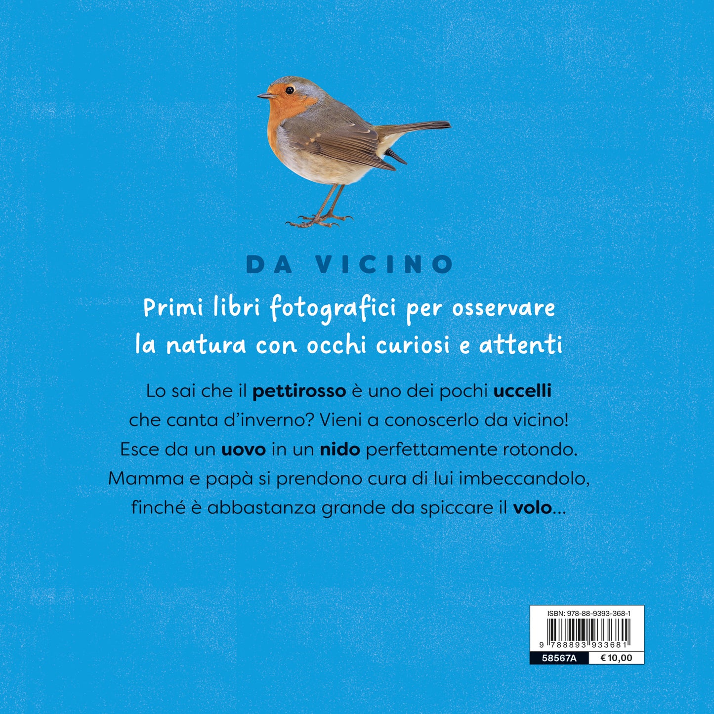 Pettirosso