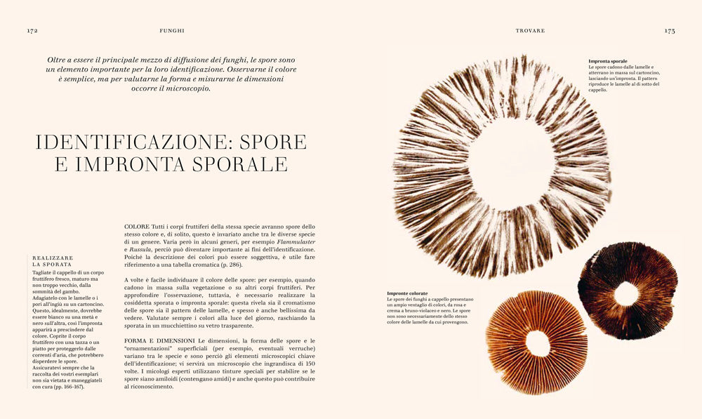FUNGHI. LA SCIENZA E I SEGRETI DEL REGNO PIU' MISTERIOSO