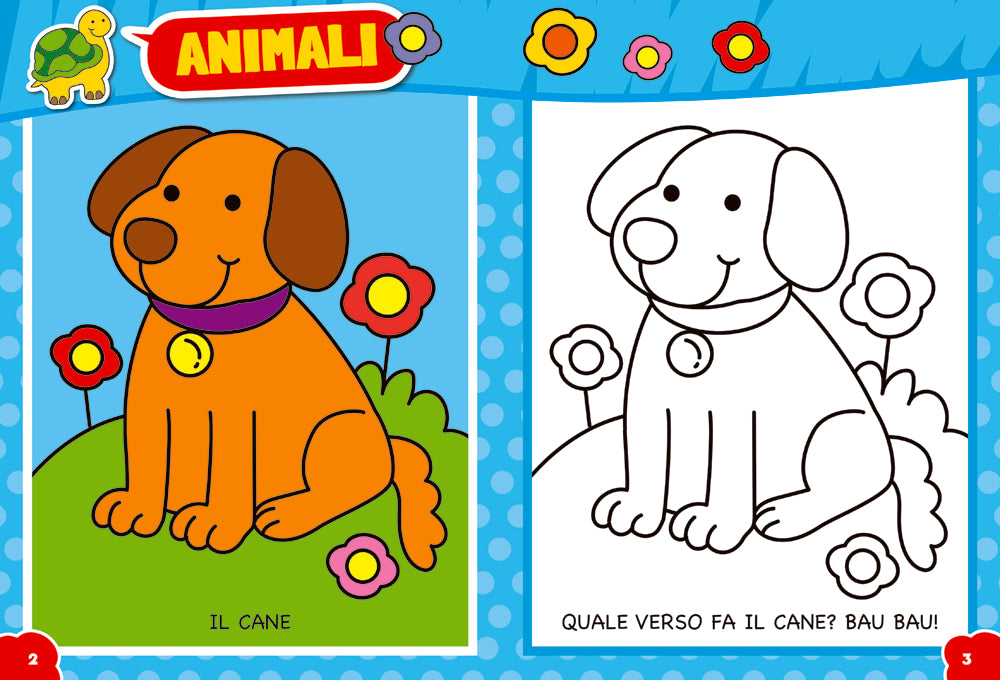 Tutto Color