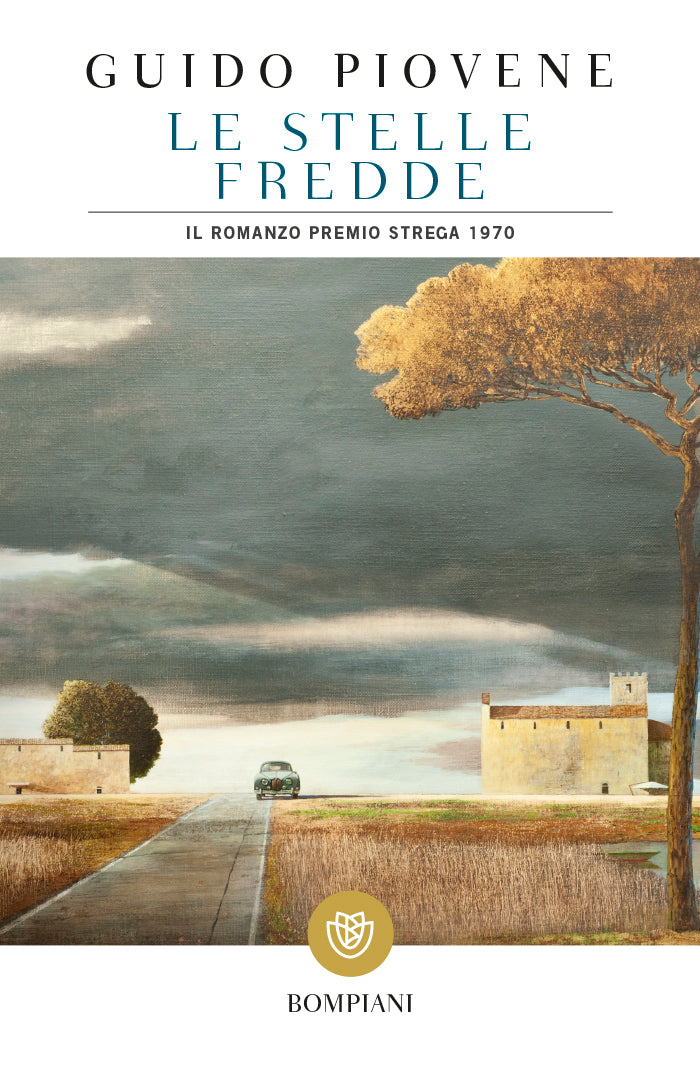 Le stelle fredde. Il romanzo Premio Strega 1970