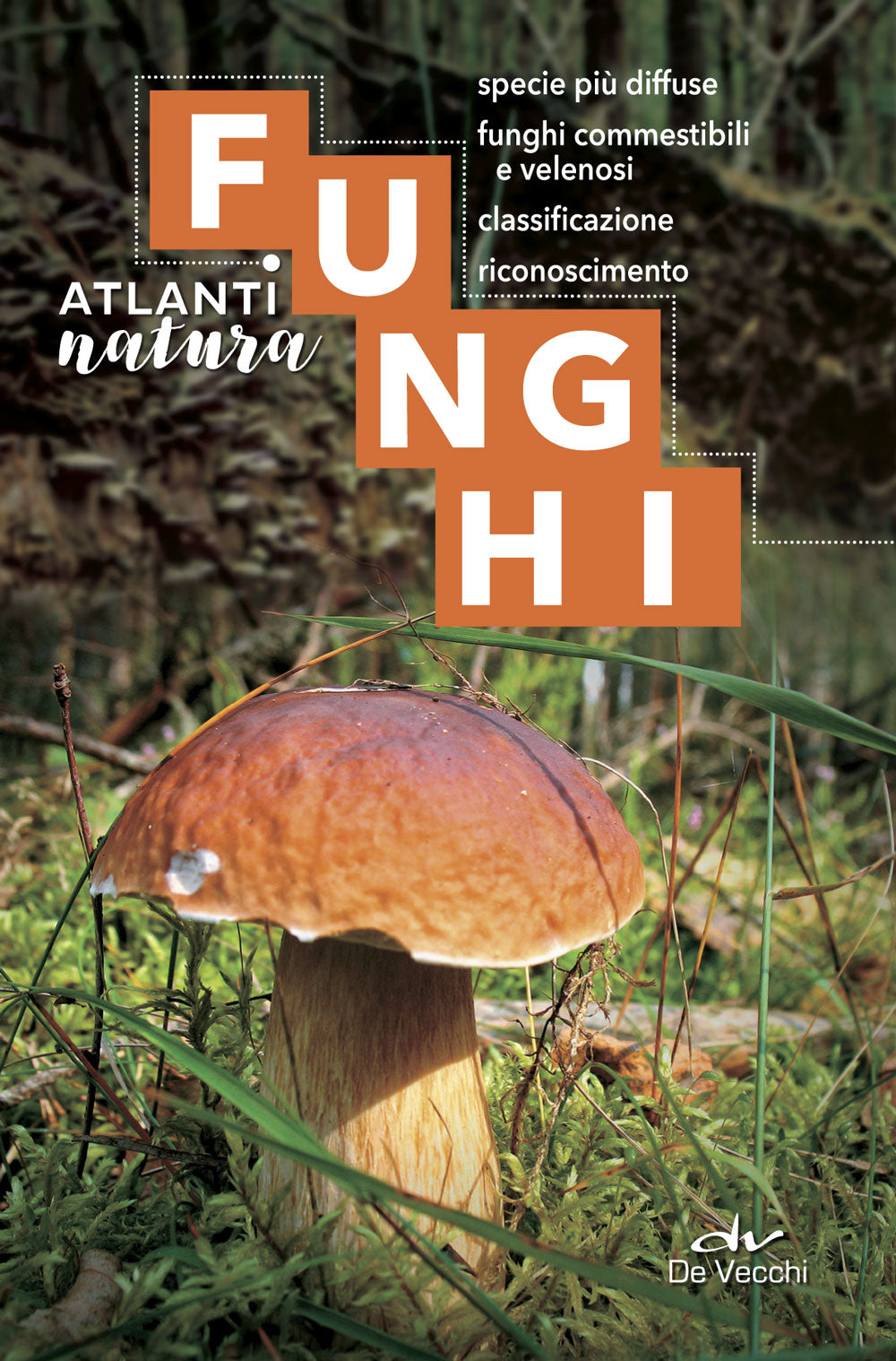 Funghi. specie più diffuse, funghi commestibili e velenosi, classificazione, riconoscimento
