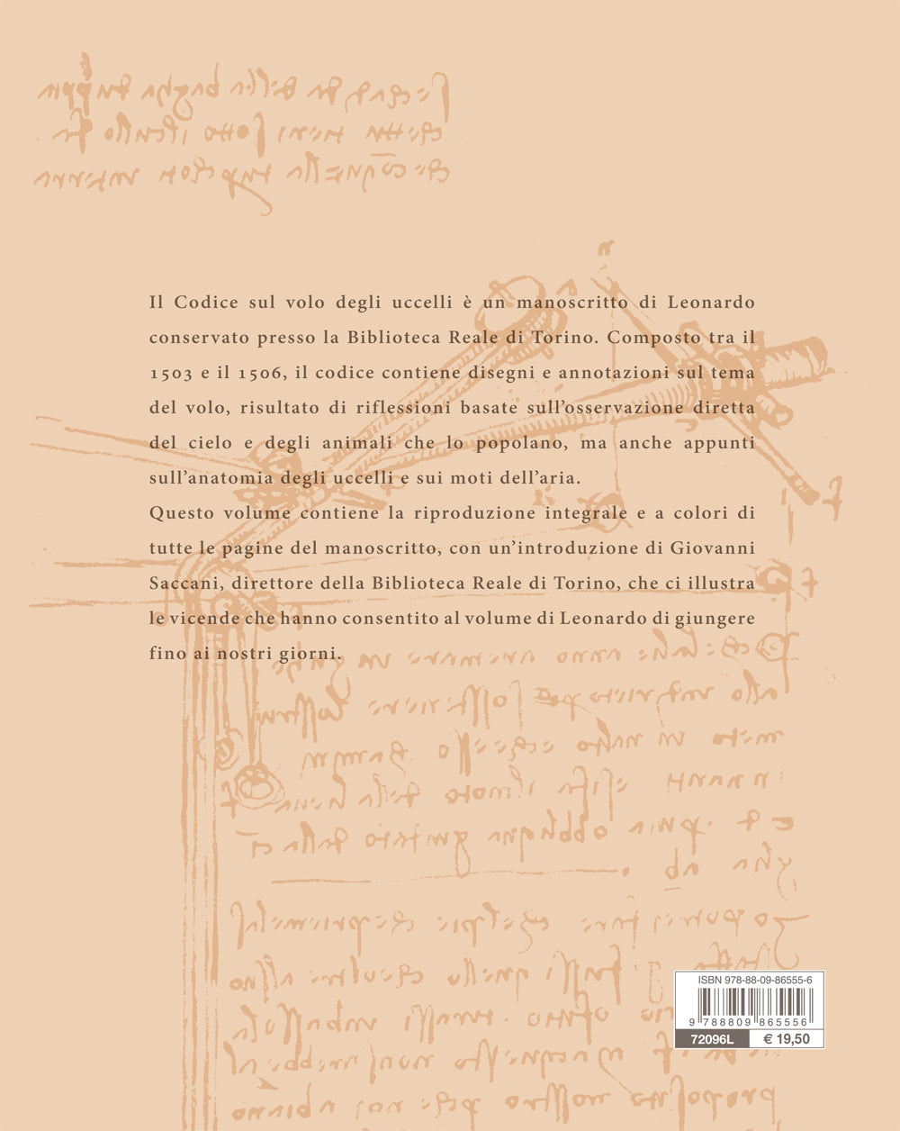 Il Codice sul volo degli uccelli