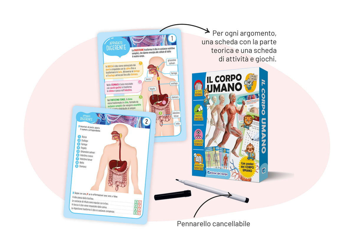 Il corpo umano