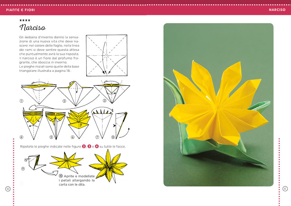 Il piccolo libro degli origami