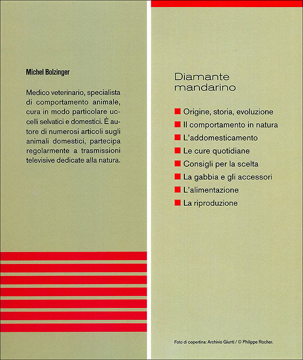 Diamante mandarino. Caratteristiche, comportamento, allevamento, riproduzione, alimentazione, igiene, salute