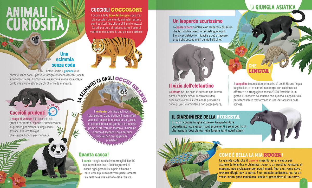 1000 Animali del mondo