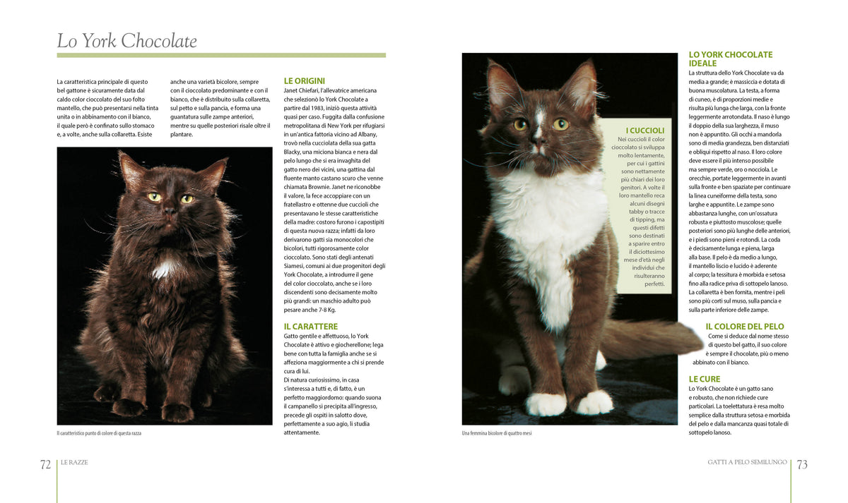 Il grande libro dei gatti