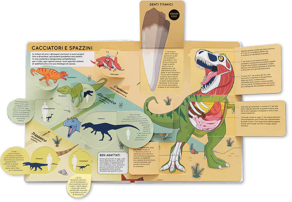 Alza e scopri – Dinosauri