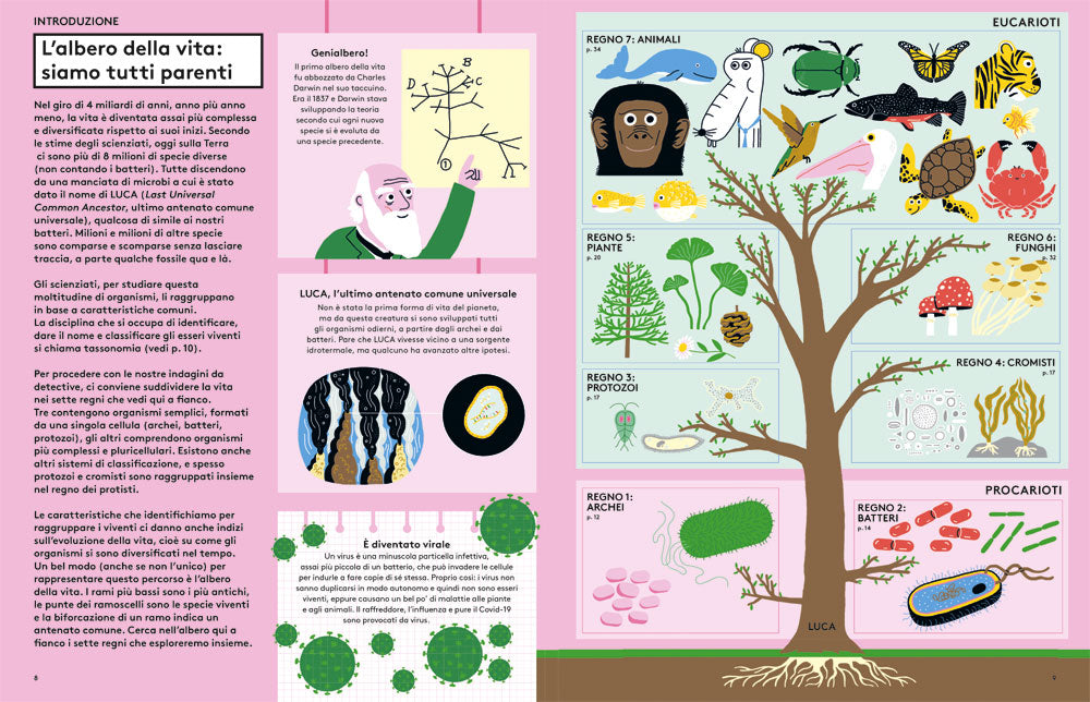 Meravigliosa biologia. Scopri la scienza della vita