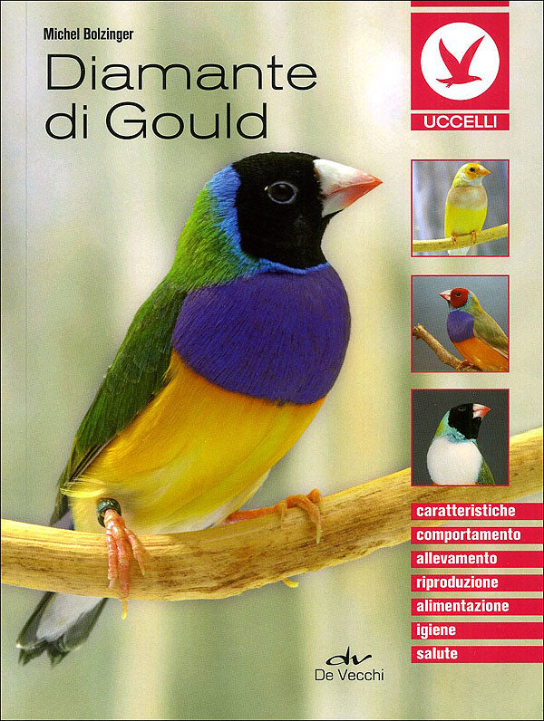 Diamante di Gould. Caratteristiche, comportamento, allevamento, riproduzione, alimentazione, igiene, salute