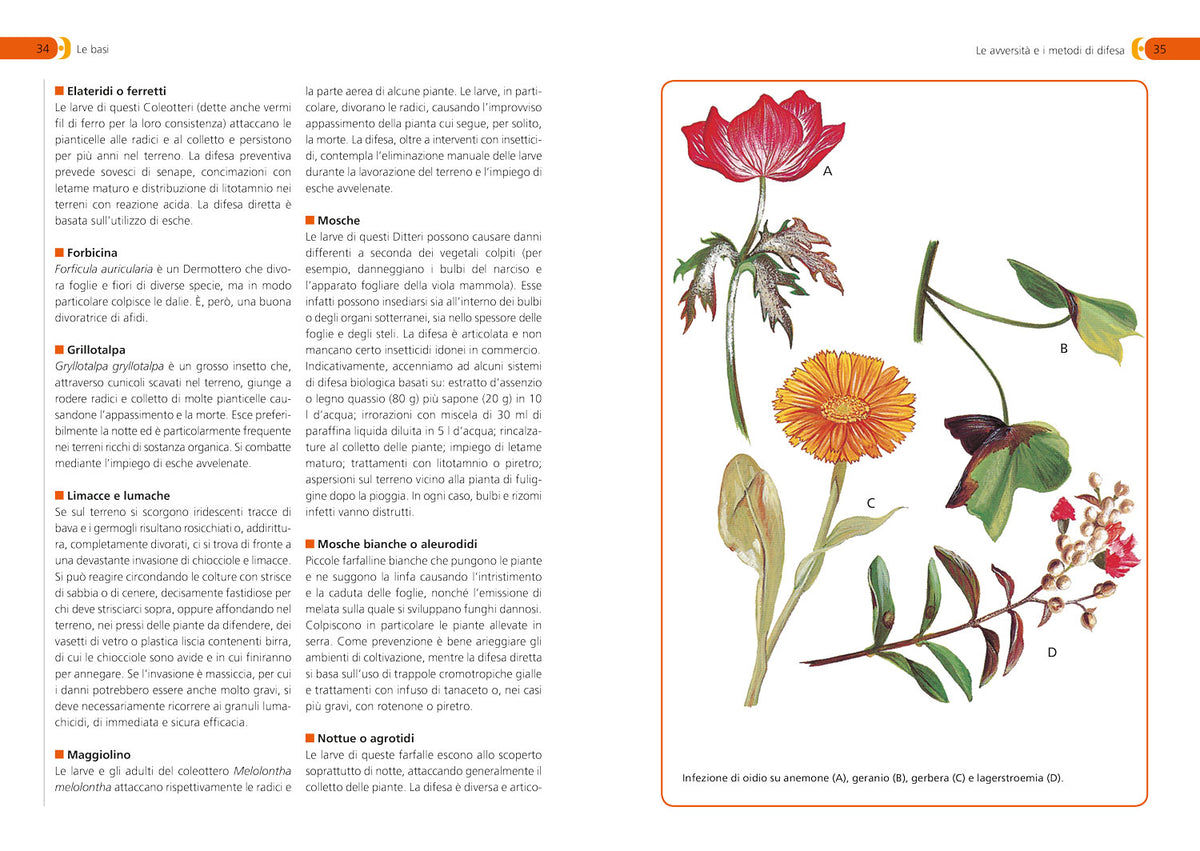 Orto, frutteto, giardino. Il manuale completo