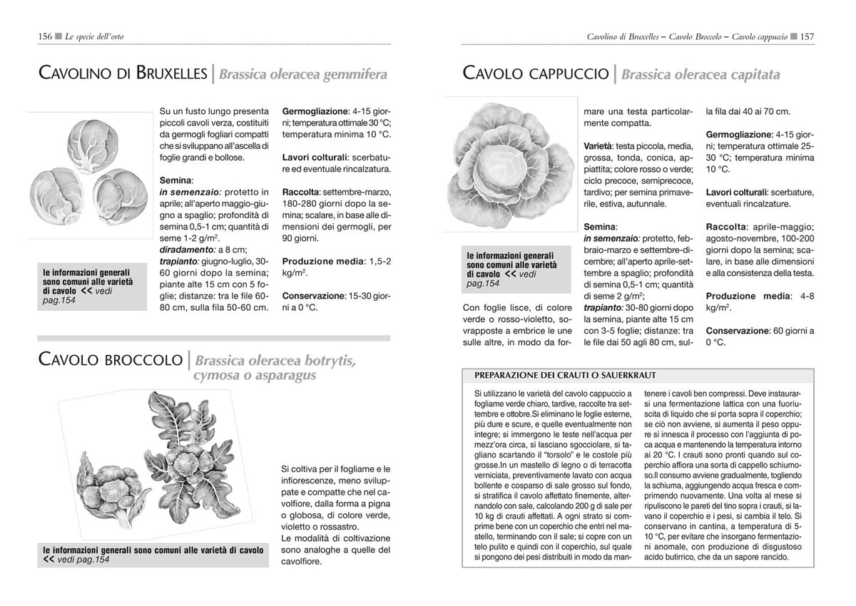 Il maxi libro dell'Orto. Come progettare, organizzare e curare il tuo orto