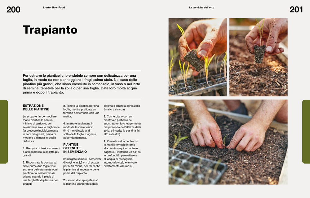 L'ORTO SLOW FOOD. Semina, coltiva e cucina per un anno