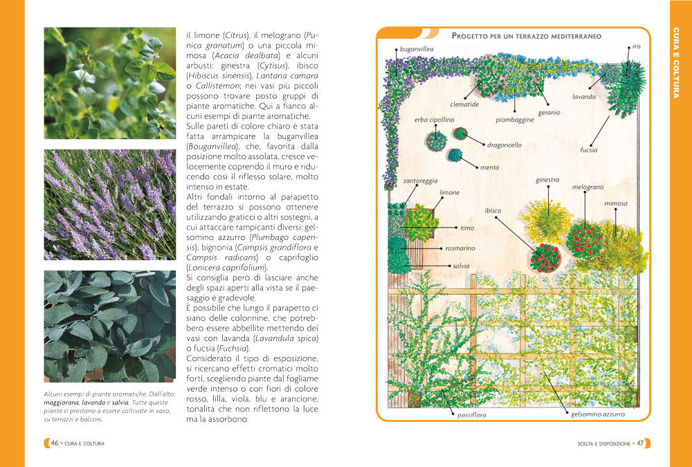 Pollice Verde. Il manuale completo del giardinaggio
