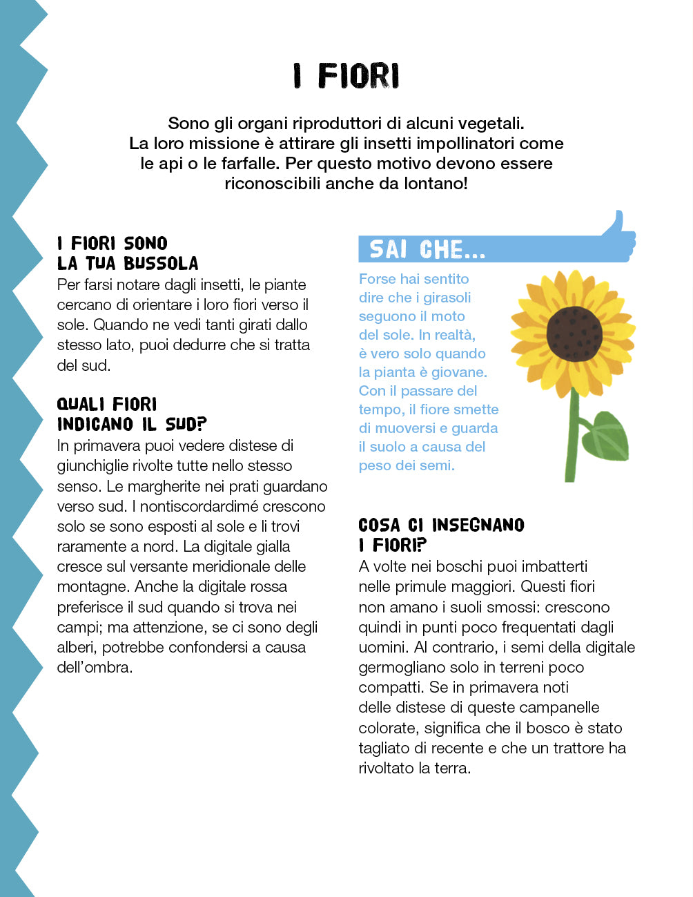 Leggiamo i segni della natura. Manuale del giovane esploratore