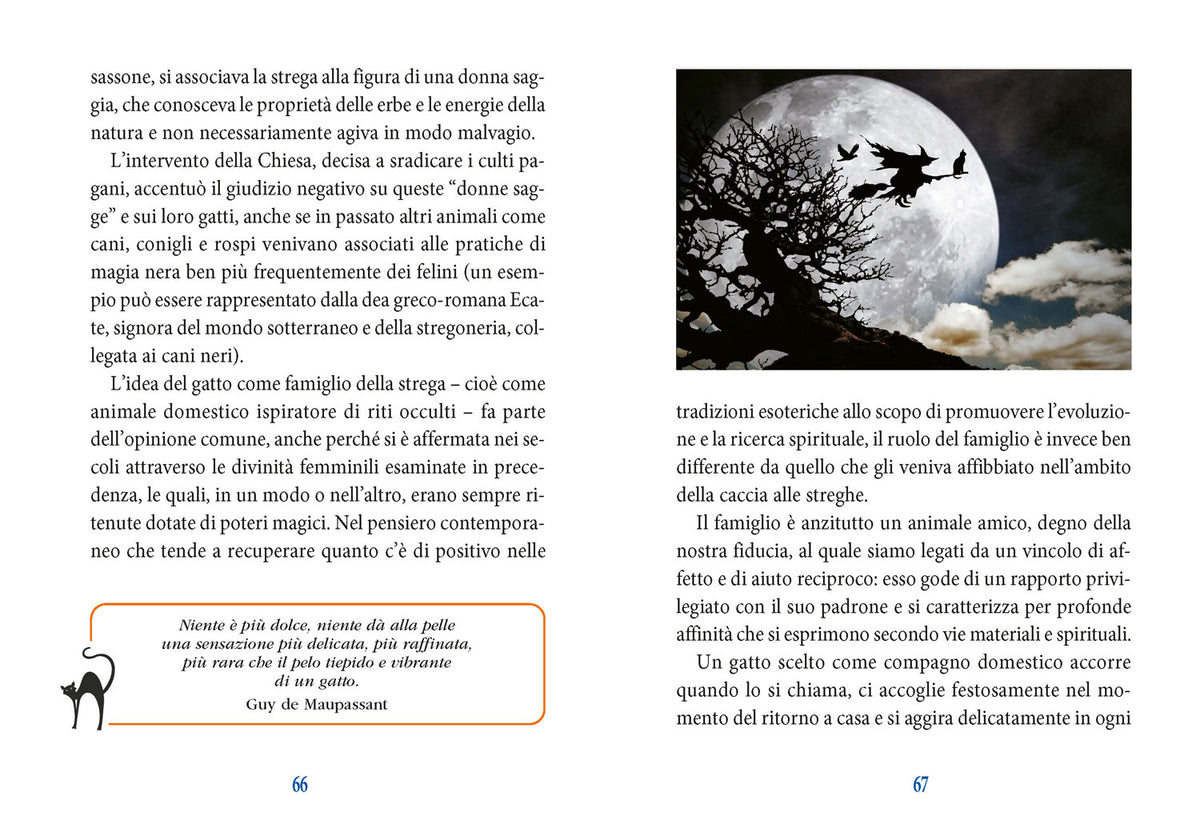 I poteri magici del gatto. Storia- Leggende - Tradizioni