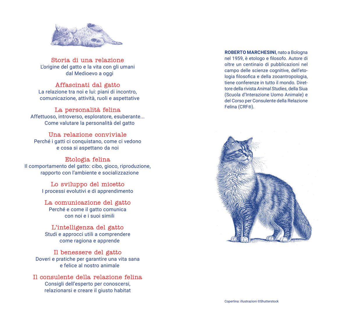 La scienza del gatto. cosa sappiamo dei nostri amici felini