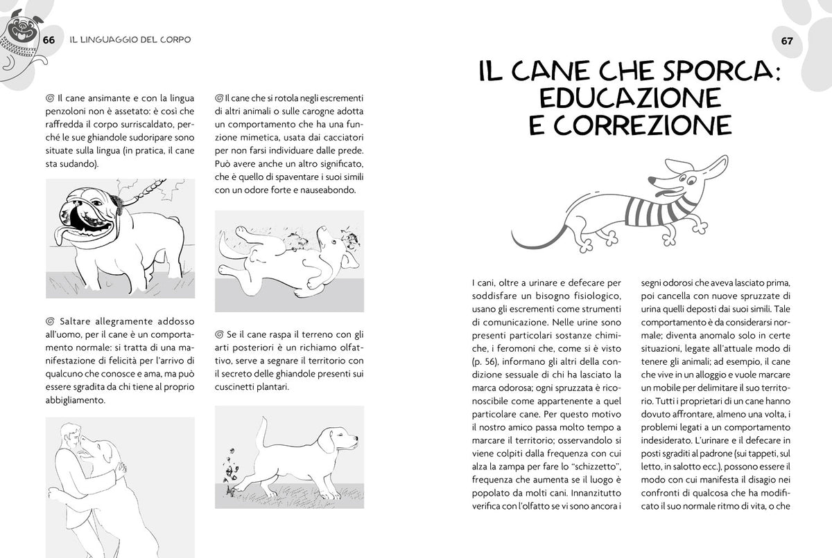Educare o rieducare il cane. Prevenire o correggere i comportamenti indesiderati