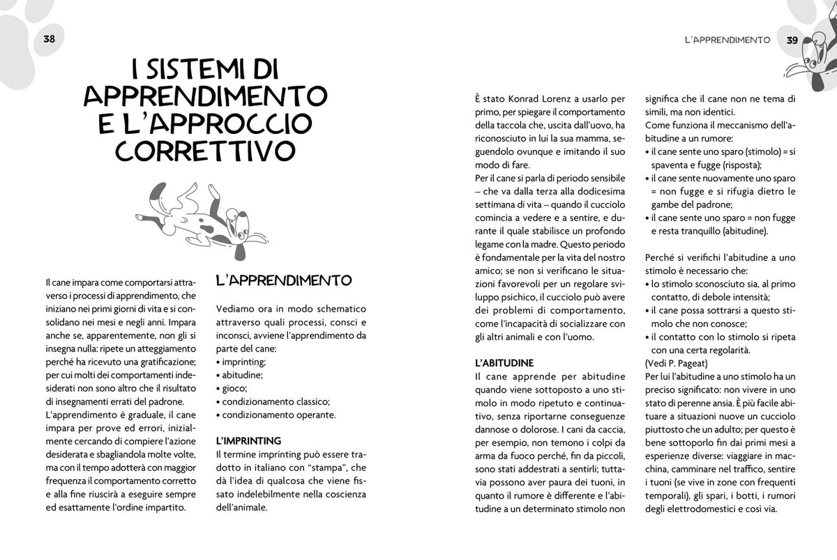 Educare o rieducare il cane. Prevenire o correggere i comportamenti indesiderati