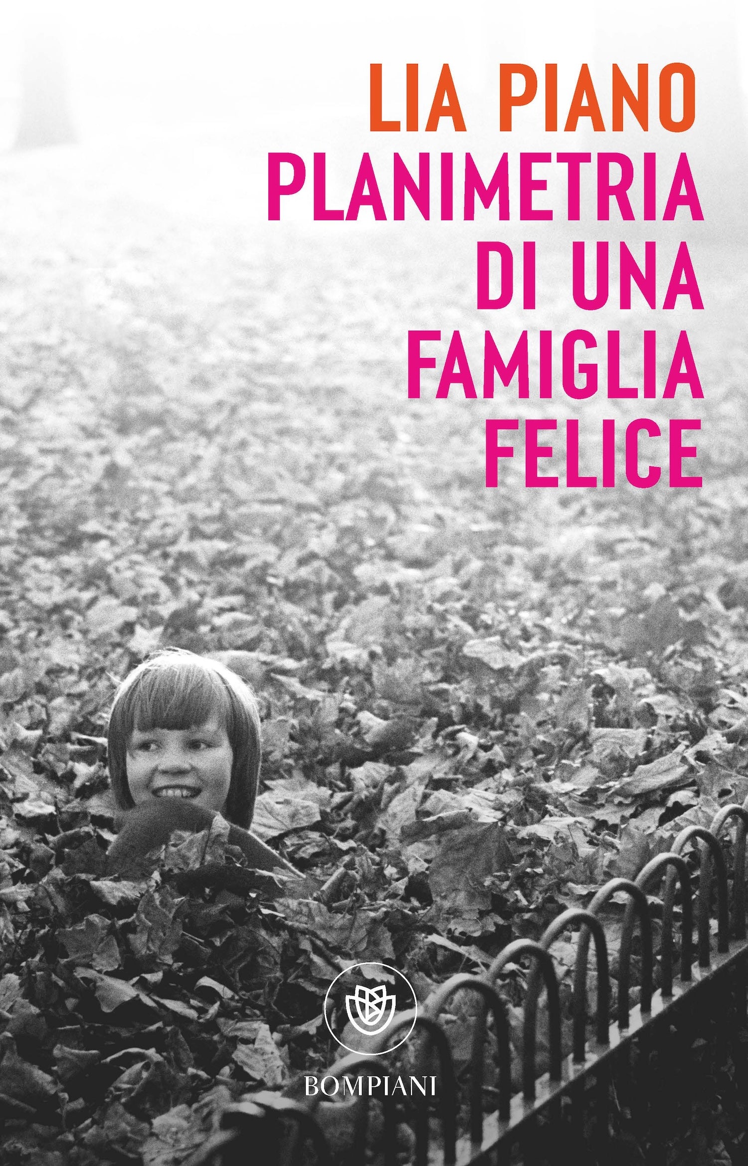 Planimetria di una famiglia felice