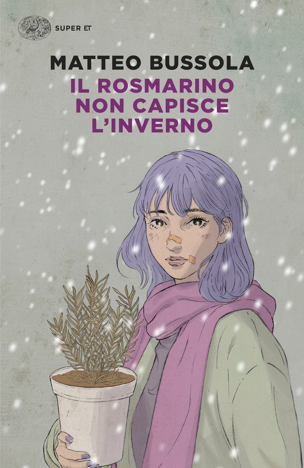 Il rosmarino non capisce l’inverno