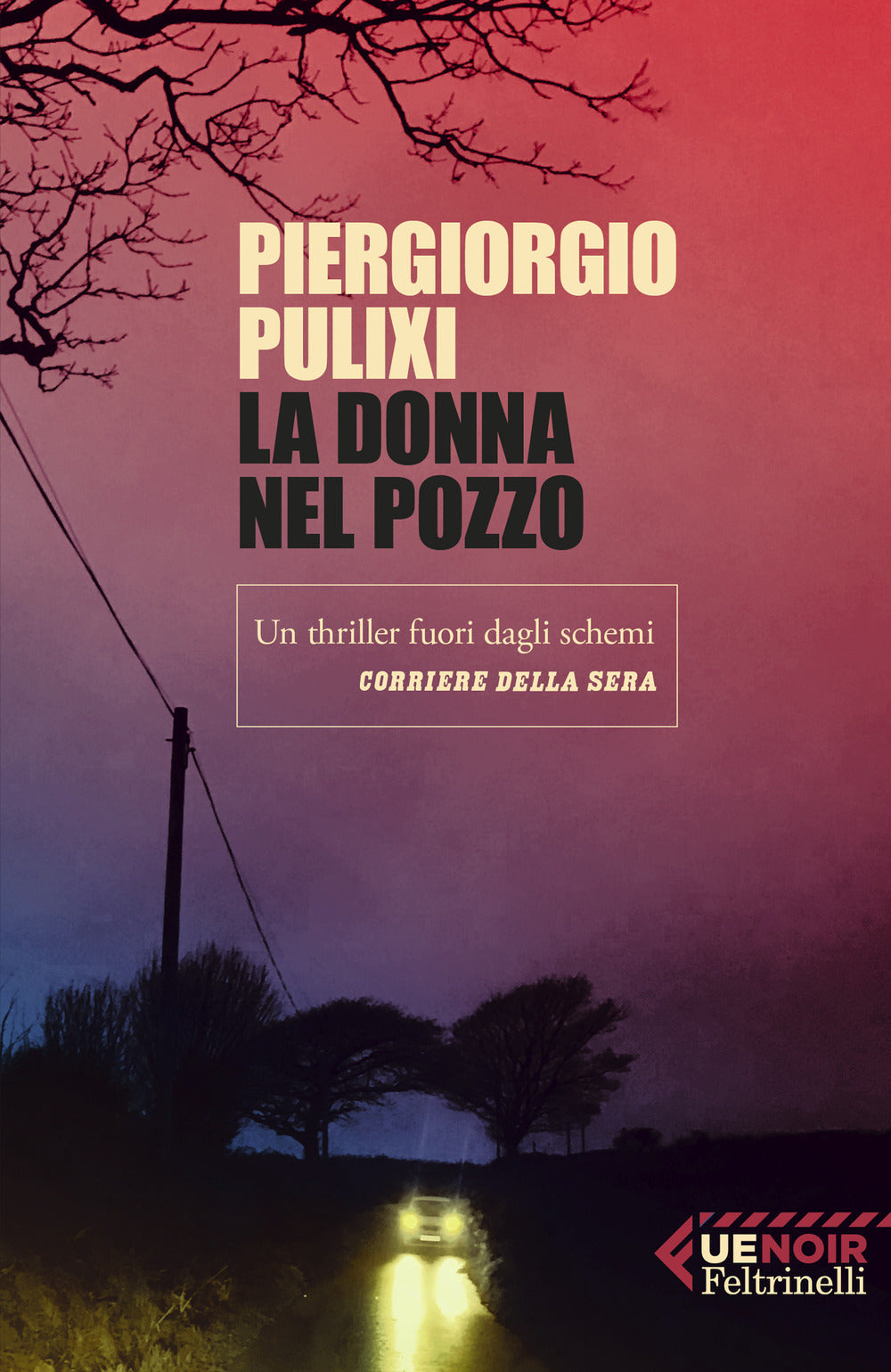 La donna nel pozzo