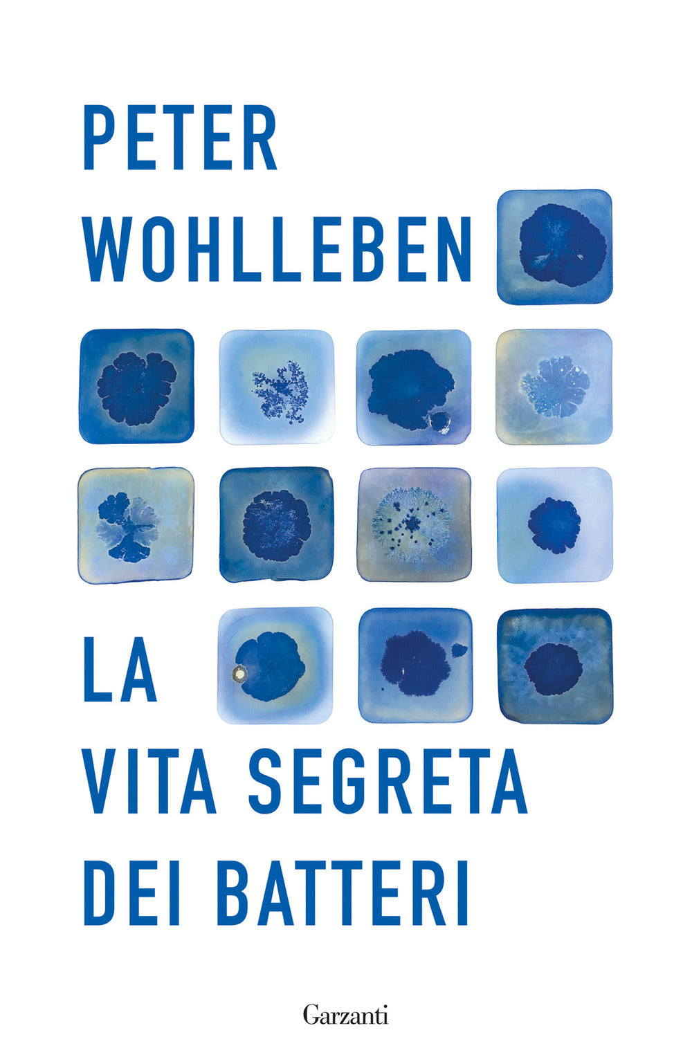 La vita segreta dei batteri