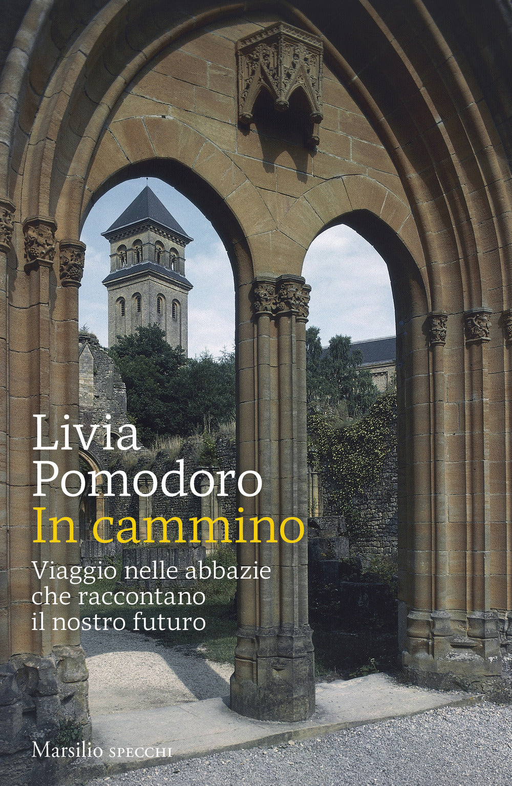 In cammino. Viaggio nelle abbazie che raccontano il nostro futuro