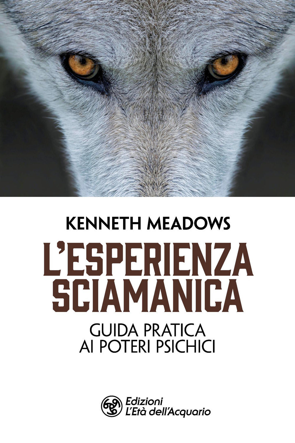 L'esperienza sciamanica. Guida pratica ai poteri psichici