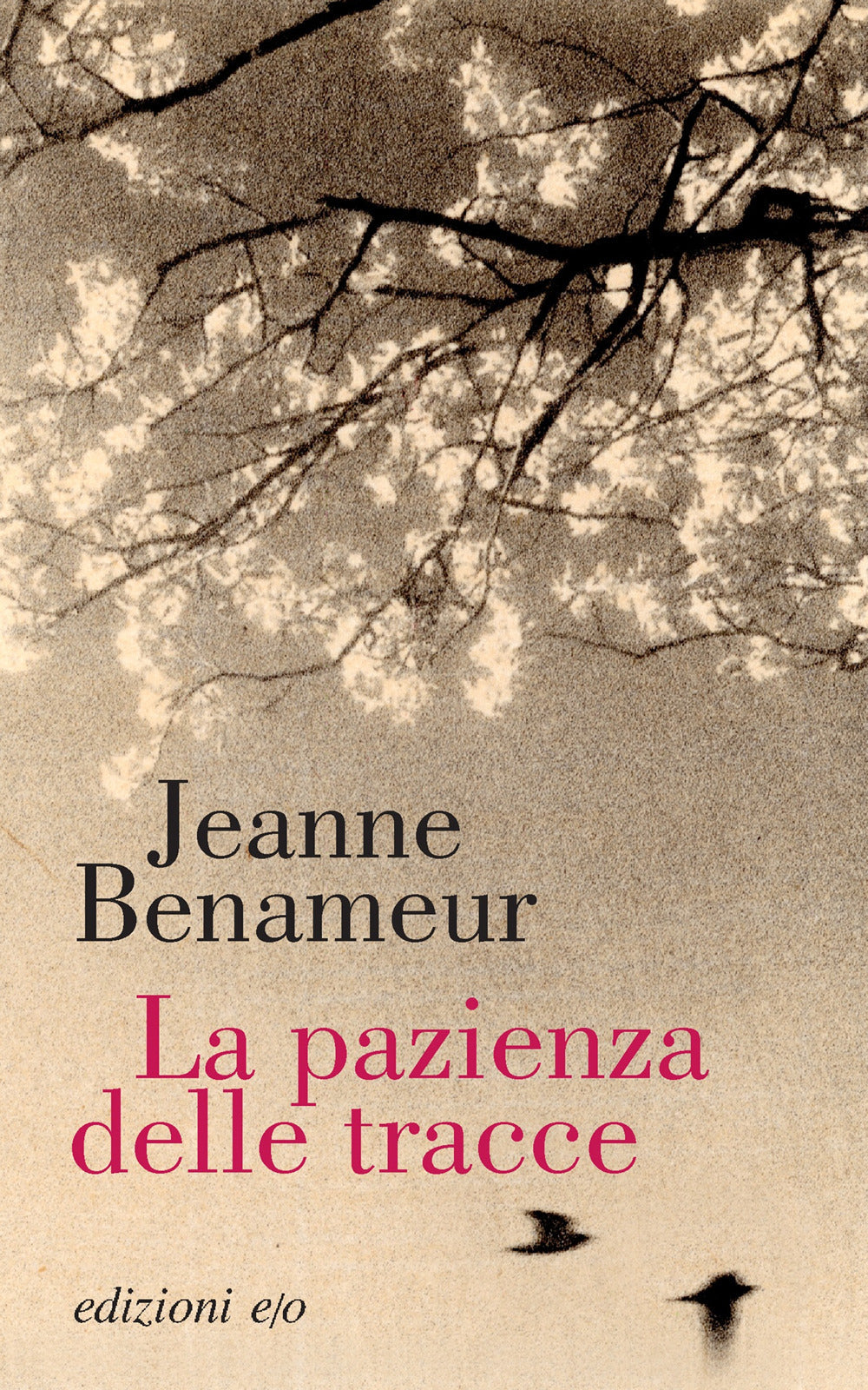 La pazienza delle tracce