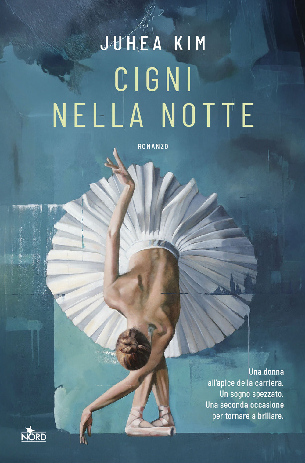 Cigni nella notte